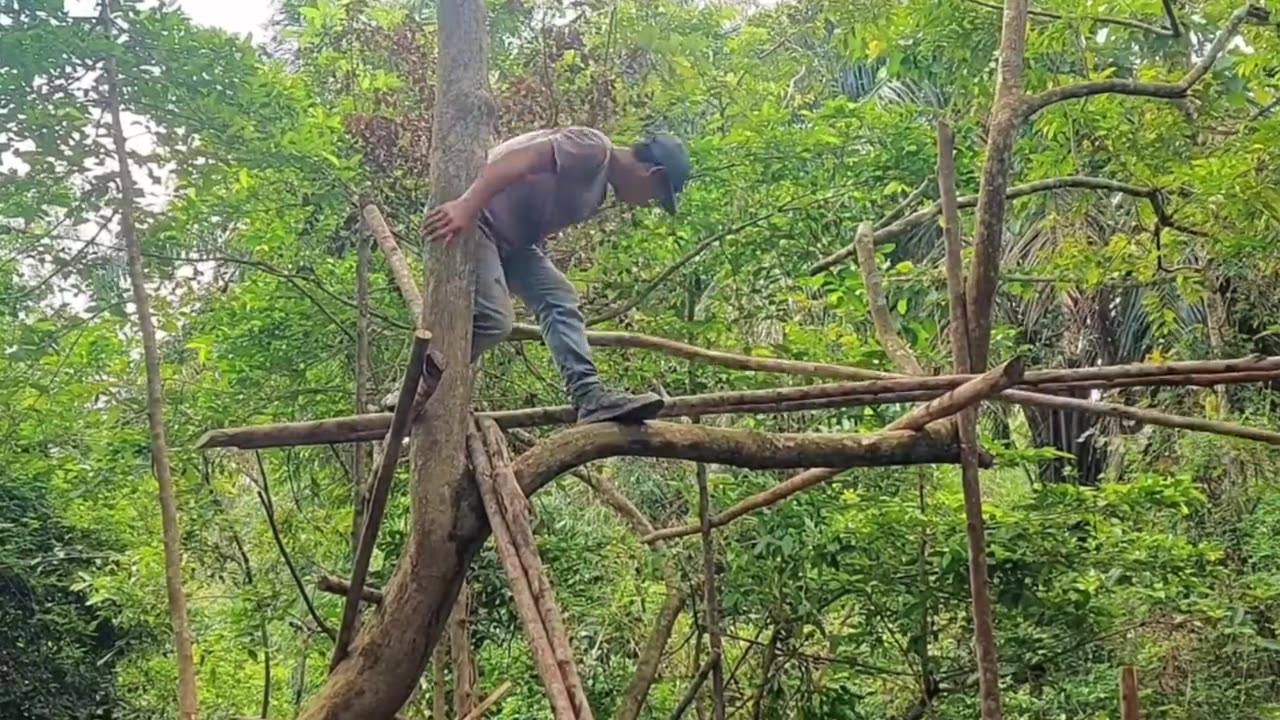 Solo Builder Creates Luxury Treehouse in the Wilderness | Bamboo & Wood Masterpiece
