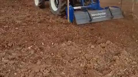 Soil preparation for growing tomatoes in a greenhouse #tomatoes #greenhose