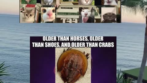 Memes of the day | funny memes | #funny