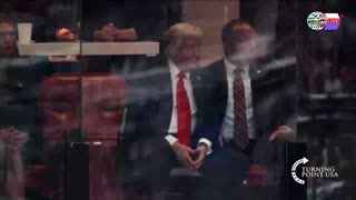 TWO CATS U.S. POLITICAL NEWS