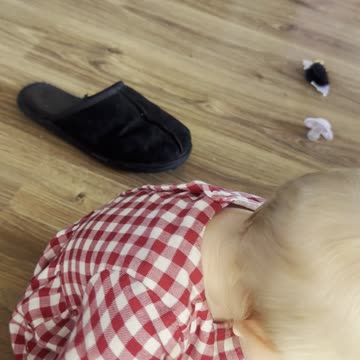 Peek-a-Boo with Mommy — Baby Kayla’s Adorable Reaction