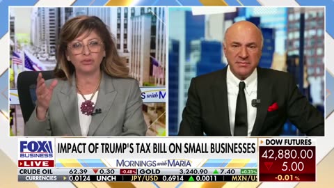 ⚡'TOTALLY UNFAIR': Kevin O'Leary sees 'huge problem' with Trump's tax bill