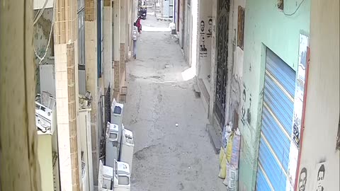 Camera1_elsayed_elsayed_20250129100000_20250129114538_213555909