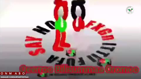 ONM-ABO Caamsaa 12-2025 itti dhiyaadhaa!