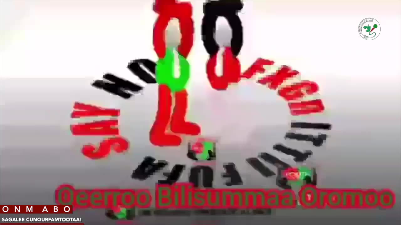 ONM-ABO Caamsaa 12-2025 itti dhiyaadhaa!