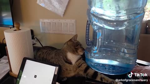 Esther loves bubbles!