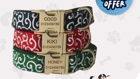 Sustainable Toy Basket by Curlitail USA | Personalized dog collars