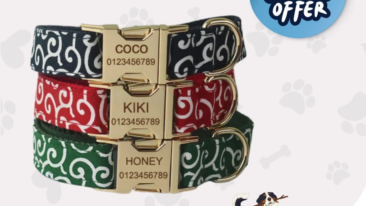 Sustainable Toy Basket by Curlitail USA | Personalized dog collars