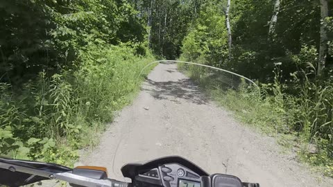 Remote Forest Trail