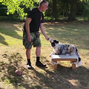 Structured Play Games Training and Practice short B 4