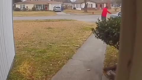Squirrel attacks a negro!😄