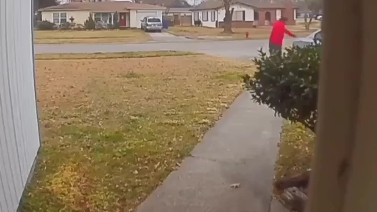 Squirrel attacks a negro!😄