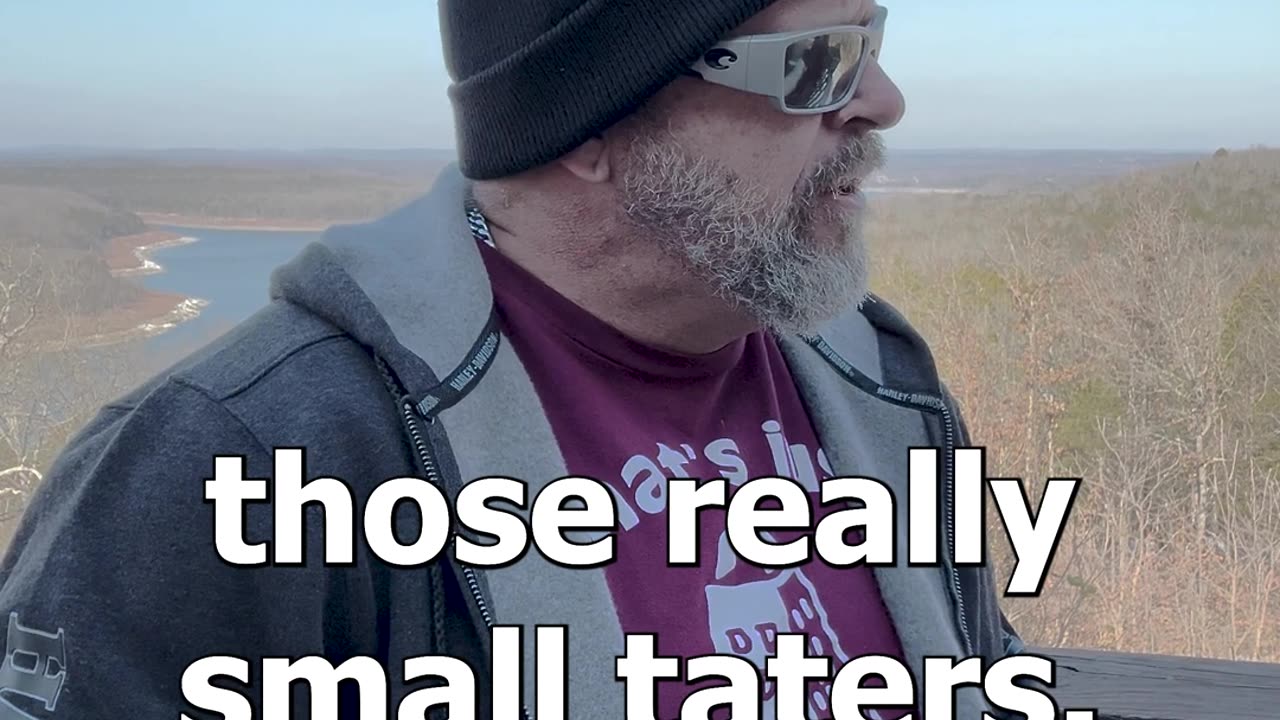 Taters
