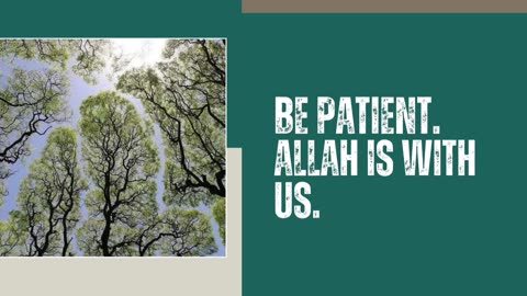Today's Ayahs: Ayahs about Sabr