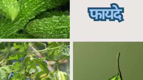 karele khane ke fayde