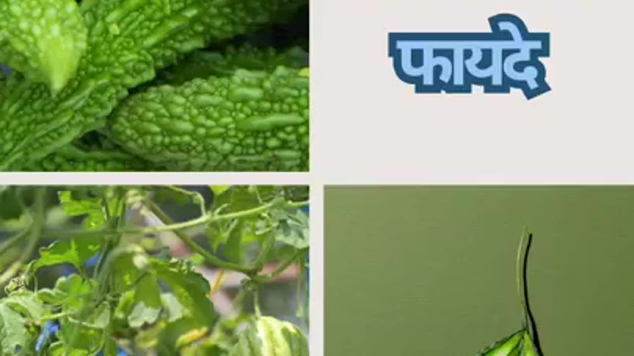 karele khane ke fayde