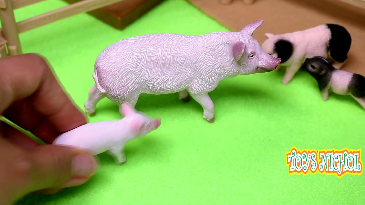 Feeding and Caring for Five Sheep for their Wool During the Winter