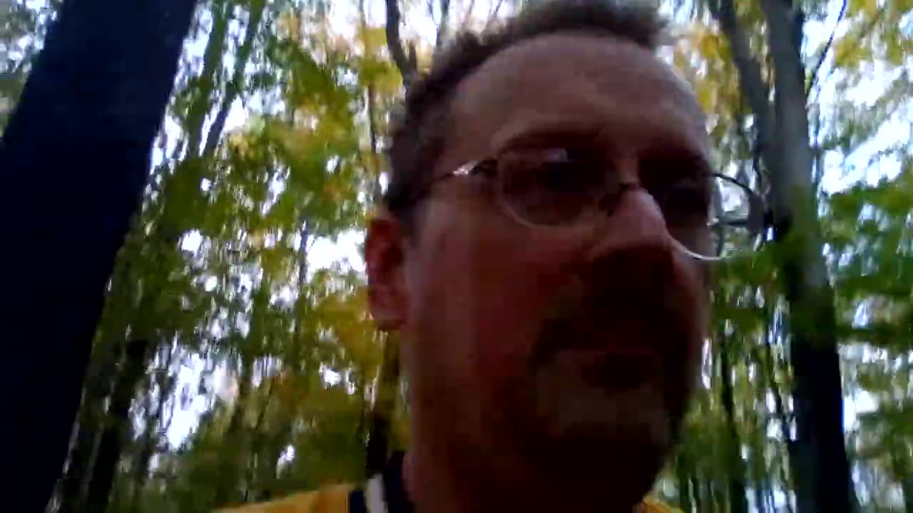 Todd Thundercock: Attachment issues kwee, I fall in love with every woman who talks to me for a na.