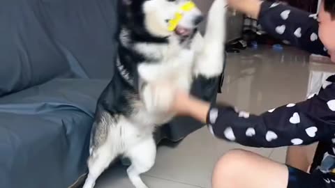 Comedy Videos😂😂🤣