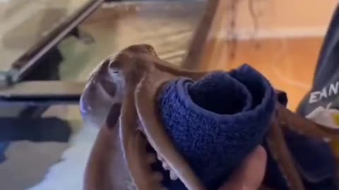 Meet Marty