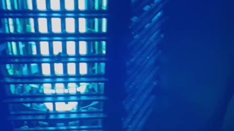 GOOTOP Bug Zapper – Powerful Indoor/Outdoor Mosquito & Fly Killer ⚡🦟🏕️