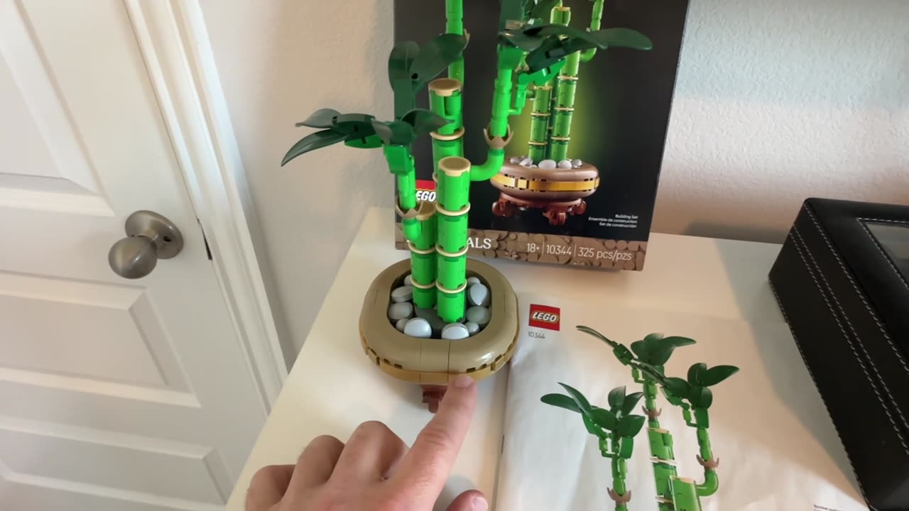Review LEGO Botanicals Lucky Bamboo