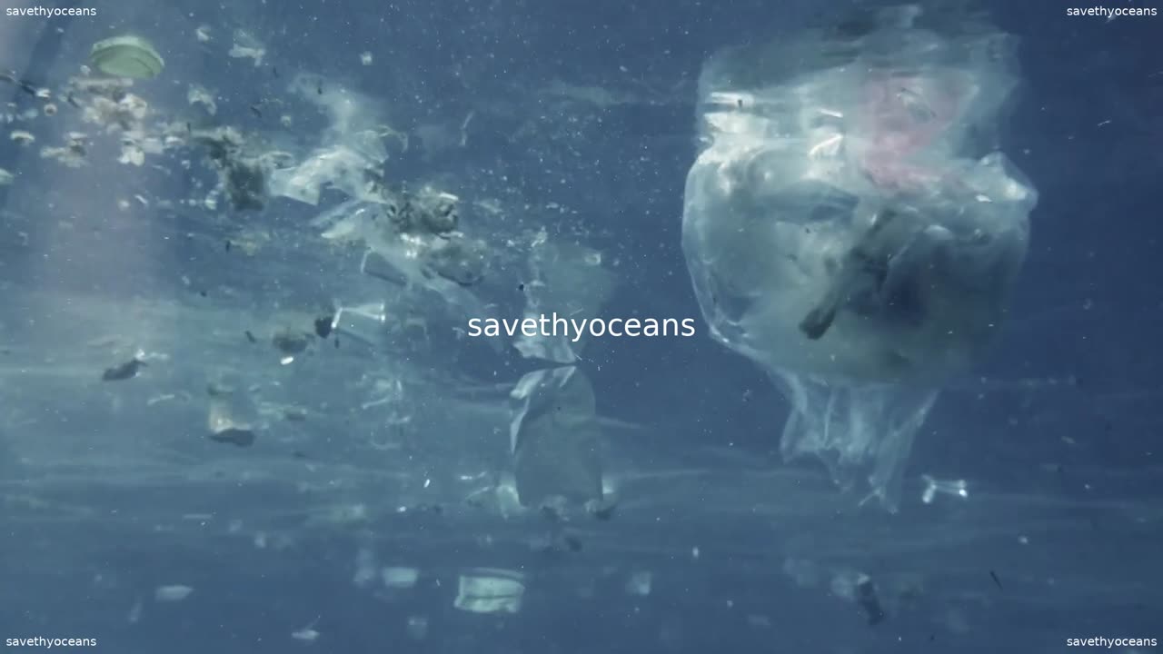 Pour La JournÃ©e Mondiale Des OcÃ©ans