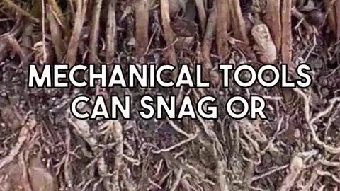Proven DIY Techniques for Clearing Underground Drain Blockages