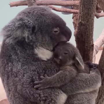 Mommy and her baby.. 😊