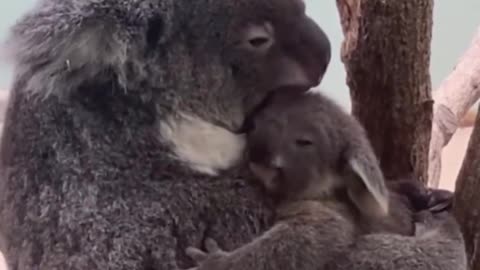Mommy and her baby.. 😊