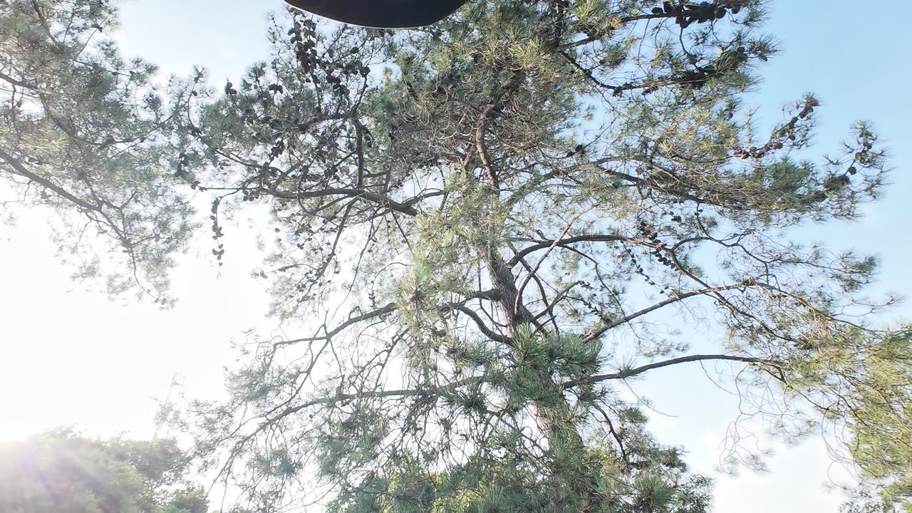 BIKE RIDE pela Margem Sul, Portugal S06E06 10th of JUNE 2K25 PART 2