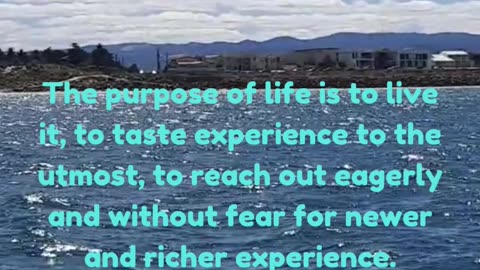 Life's Purpose