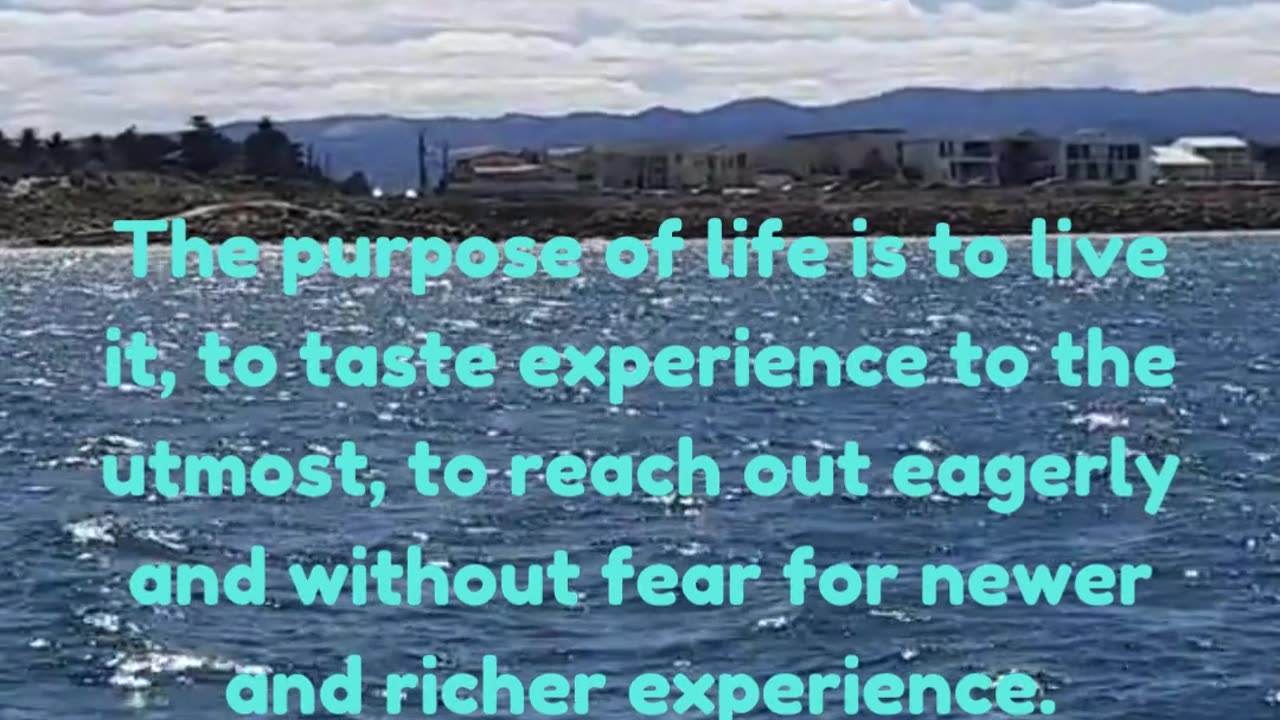Life's Purpose