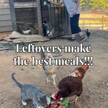 Leftovers make the best meals