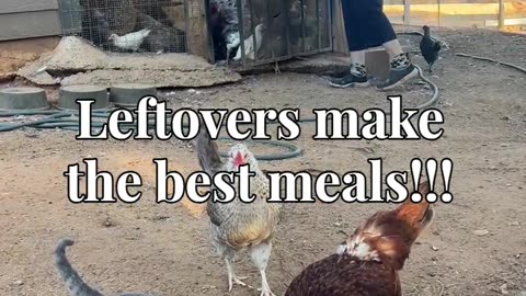 Leftovers make the best meals