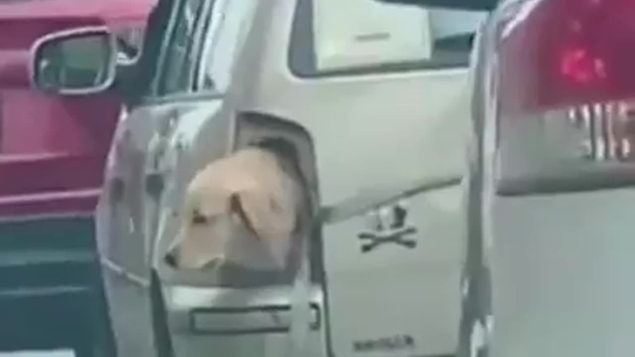 Don't Get Pulled Over Because Your Driver Side Turn Signal ⧸ Brake Light is Out