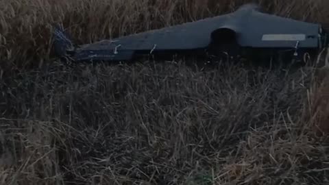 🚁🌾 Ukraine Russia War | Downed Russian Geranium Drone Near Ukrainian Fields | RCF