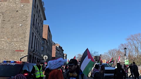 Pro Hamas Protester's Swarming Reporter