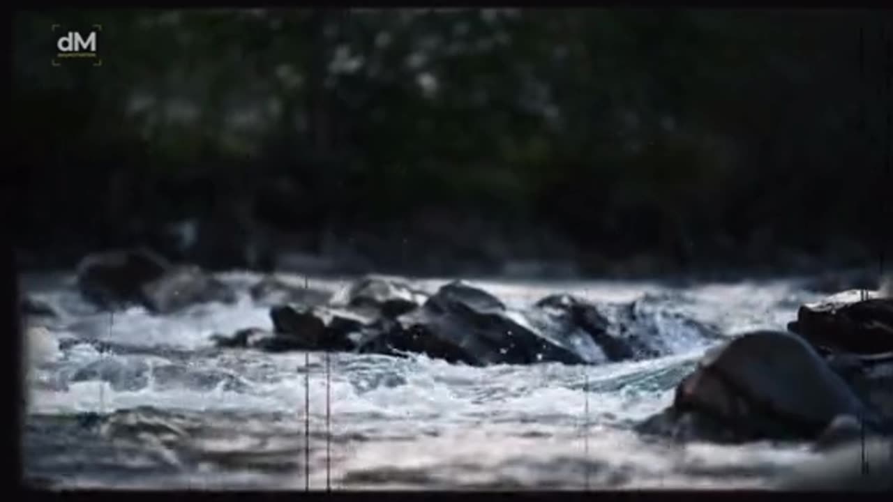 Jordan Maxwell Clip