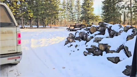 You Haven't Seen Nothing_ Unseen Sights Around the Corner! #homesteading #offgrid