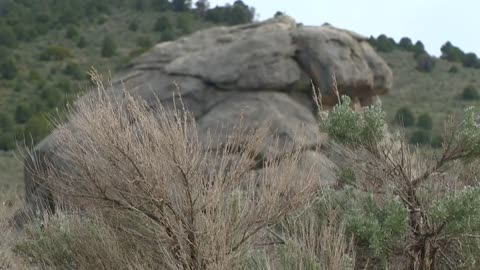 Ancient granite can be seen in the City of Rocks