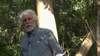 Walk With Me (s1e3) - Beating the Odds: From Meteor Strikes to Meaningful Moments