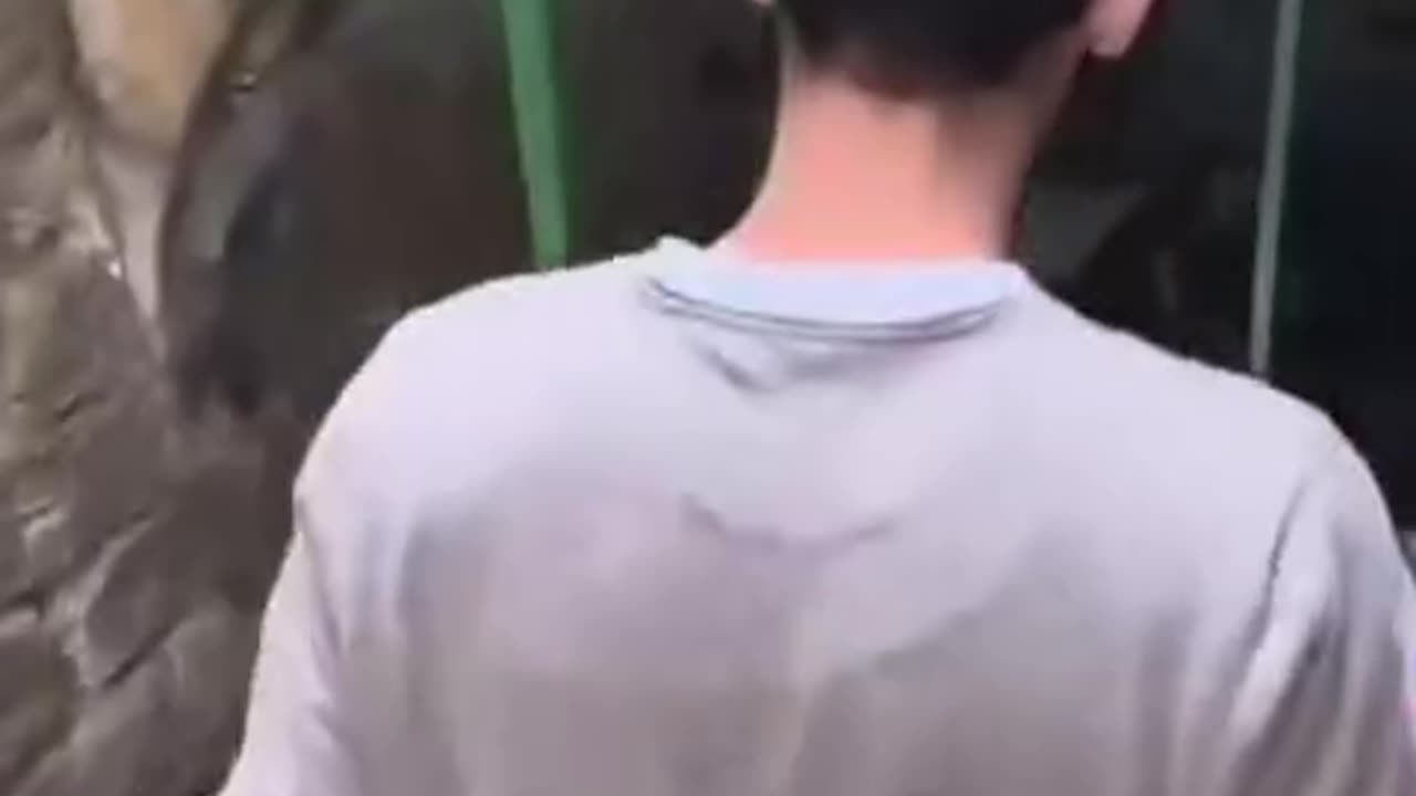 A courageous Jerusalemite named Saeed bravely confronted nine settlers