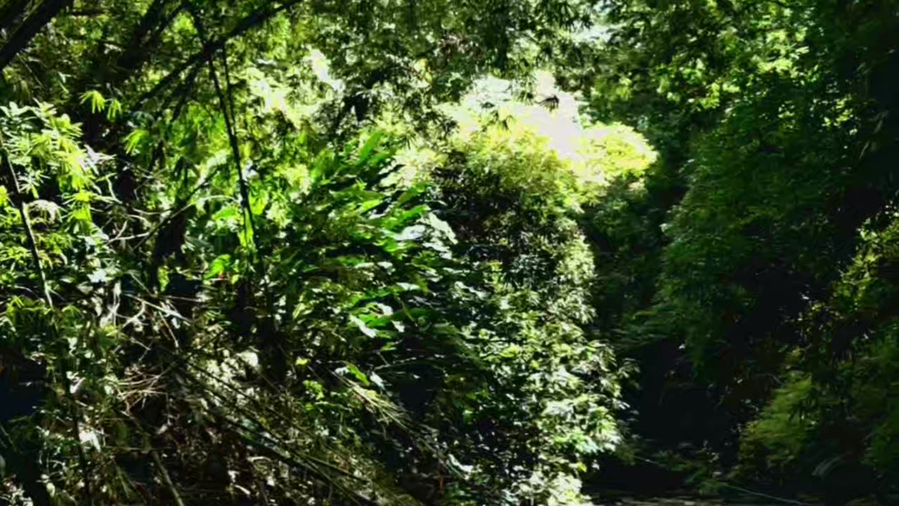 Are you ready for an adventure?