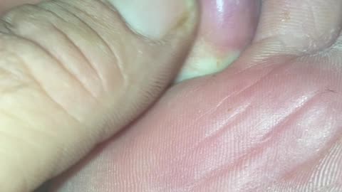 Looking pretty good from what it was