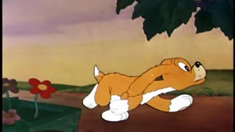 Woody Woodpecker and Friends - 1942x10 - Andy Panda's Victory Garden