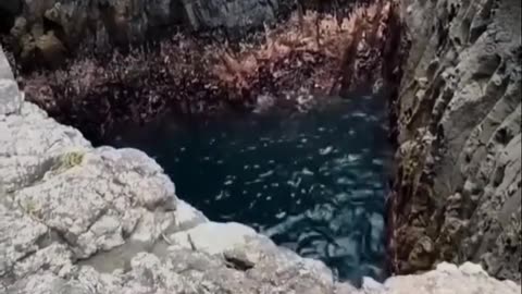 This pond BREATHES… and no one knows why!