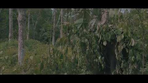 Must Watch: The Last Imperial Soldier (Award Winning Hiroo Onoda Inspired Short