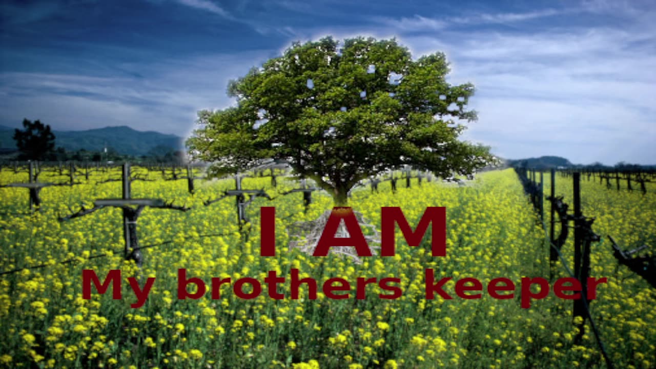 8-15-2025 No Rest for the Wicked But God Wants to Heal His People