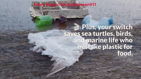 Ditch Plastic Bags Forever - Shocking Savings & Sustainability Stats You Need to Know!